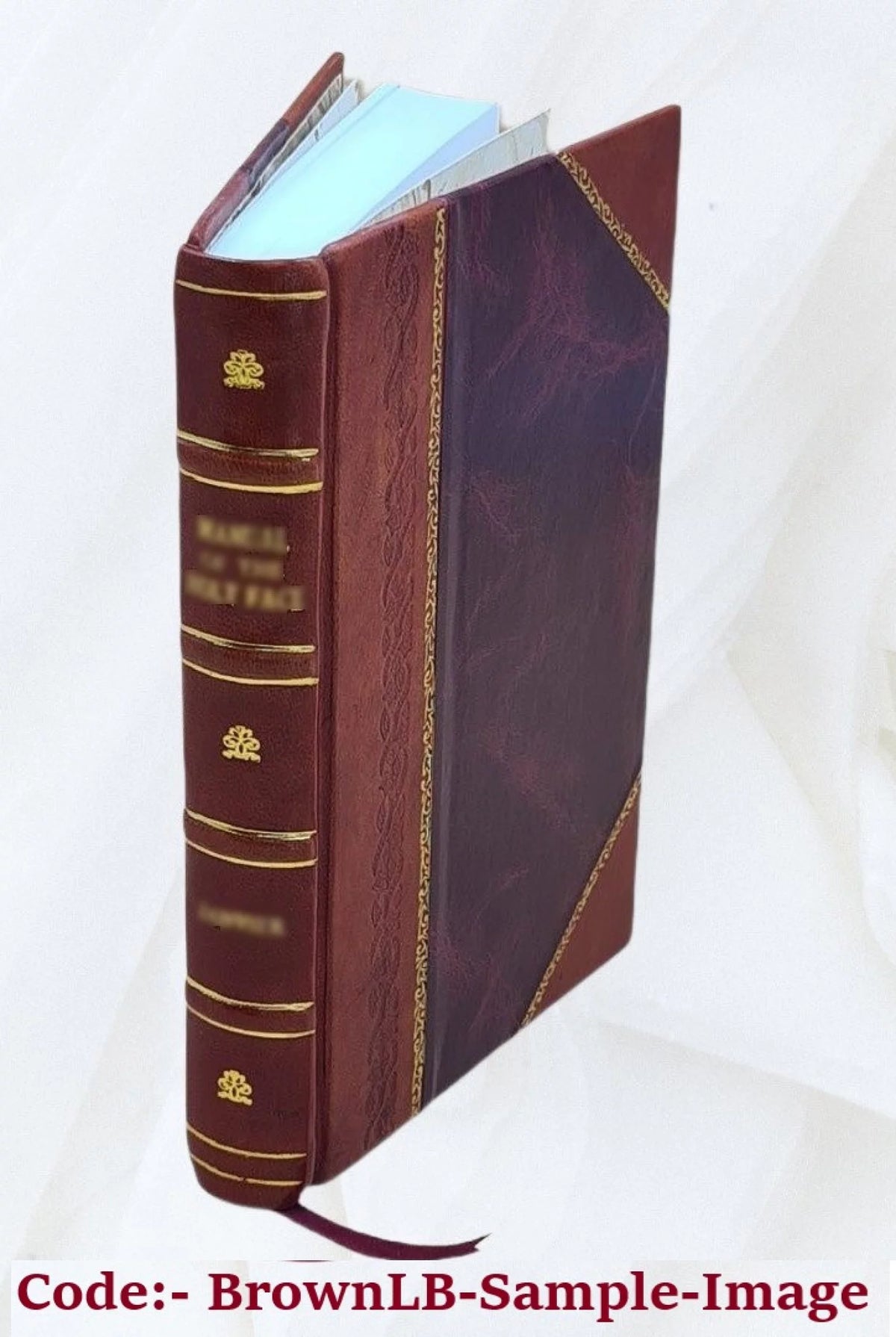 Proceedings of the Grand Lodge of Free and Accepted Masons of Massachusetts Leather Bound S220
